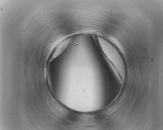 X0000089431324200707061334