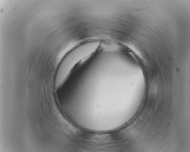 X0000089431325200707061334