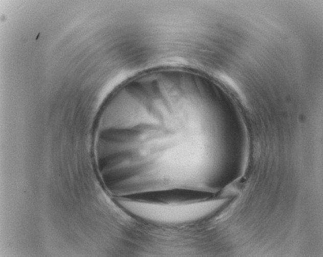 X0000089431326200707061334