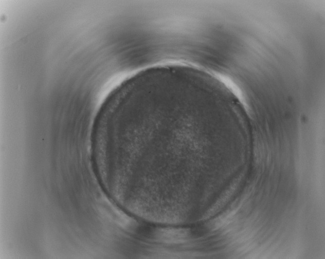 X0000089431327200707061334