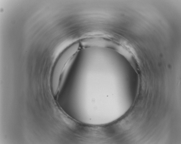 X0000089431328200707061334