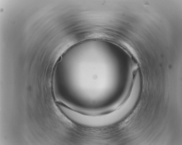 X0000089431330200707061334