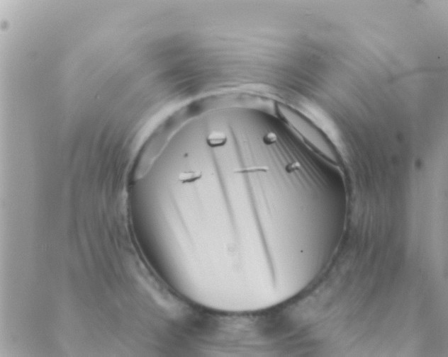 X0000089431332200707061334