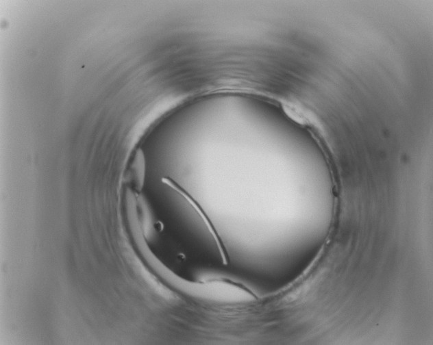 X0000089431333200707061334