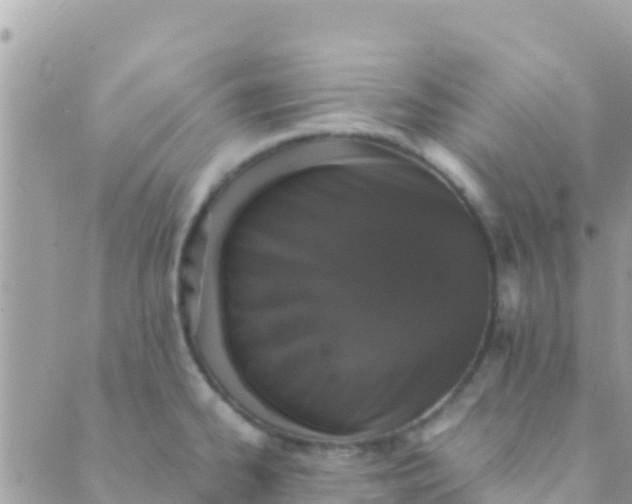 X0000089431334200707061334