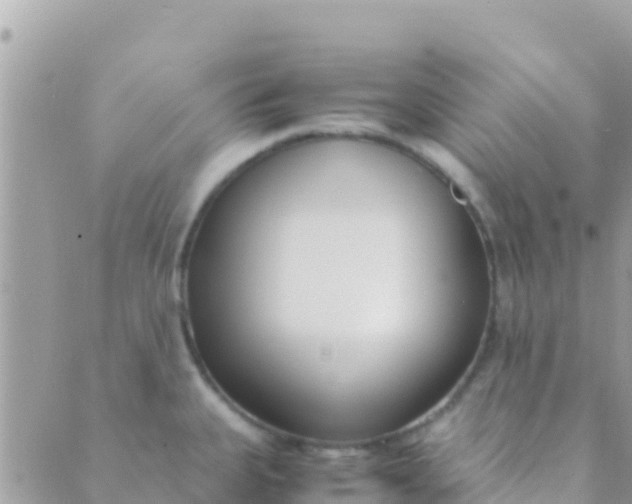 X0000089431335200707061334