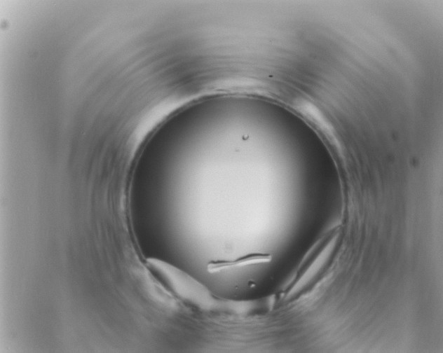 X0000089431336200707061334