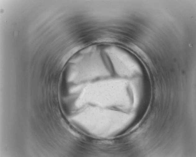 X0000089431337200707061334