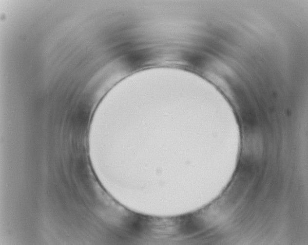 X0000089431338200707061334