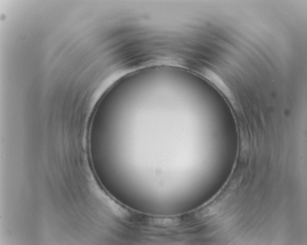 X0000089431339200707061334