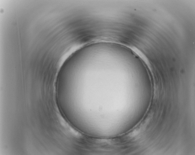 X0000089431341200707061334