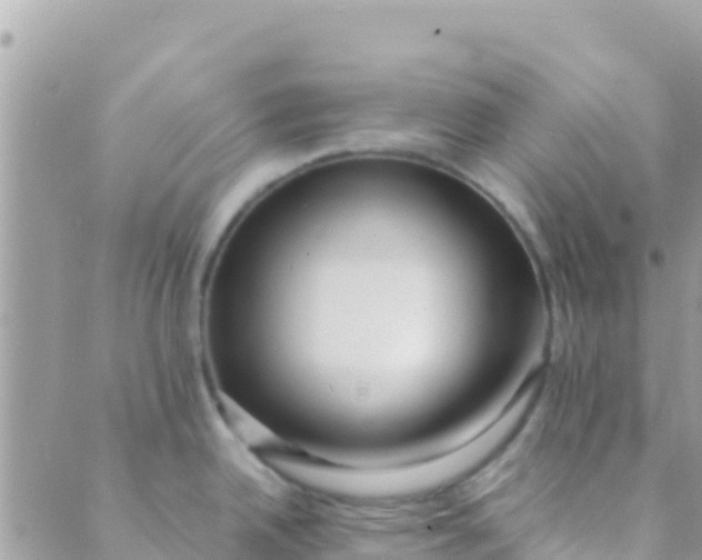 X0000089431342200707061334