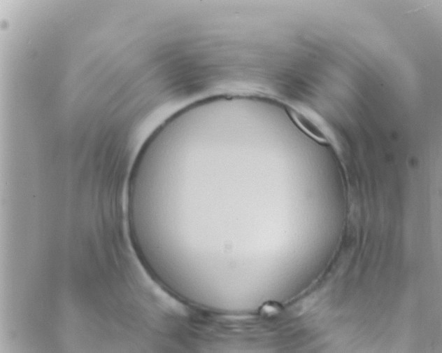 X0000089431343200707061334