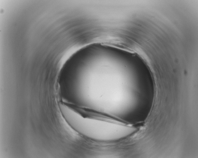 X0000089431344200707061334