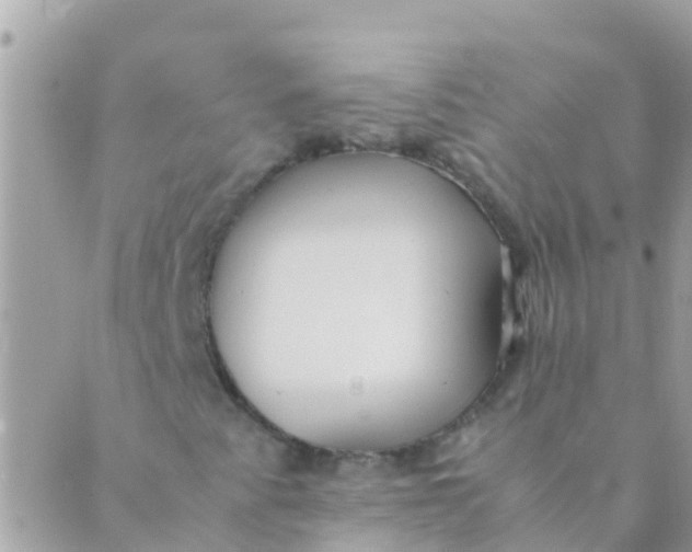 X0000089431345200707061333