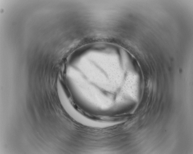 X0000089431348200707061333