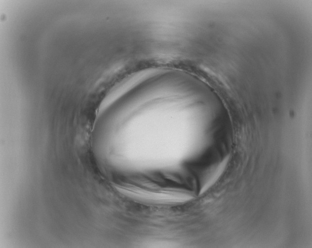 X0000089431349200707061333