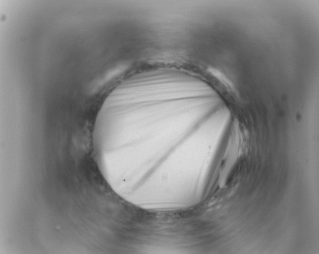 X0000089431350200707061333