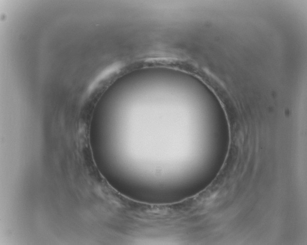 X0000089431351200707061333