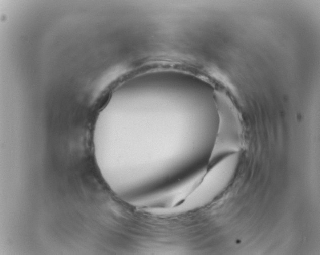 X0000089431352200707061333