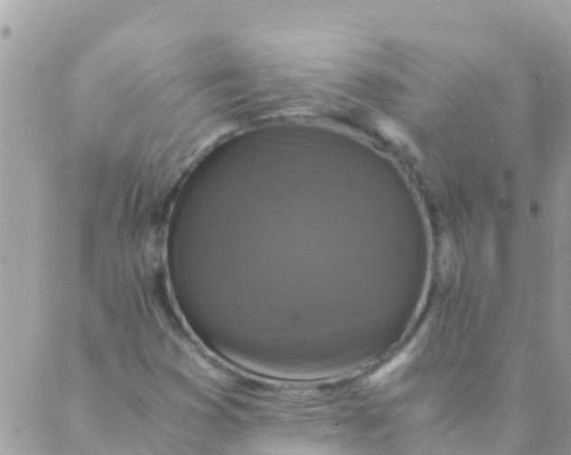 X0000089431353200707061333