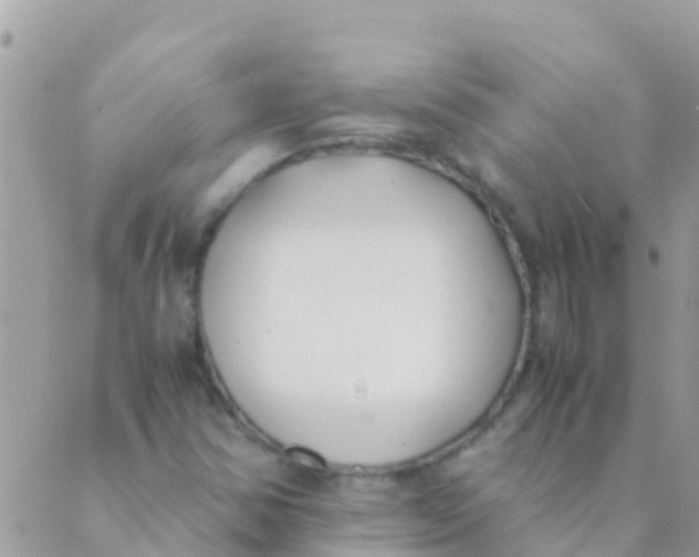 X0000089431354200707061333