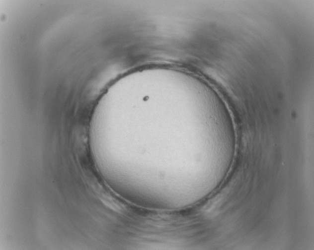 X0000089431355200707061333