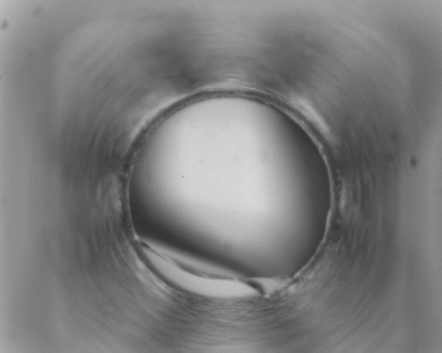 X0000089431356200707061333