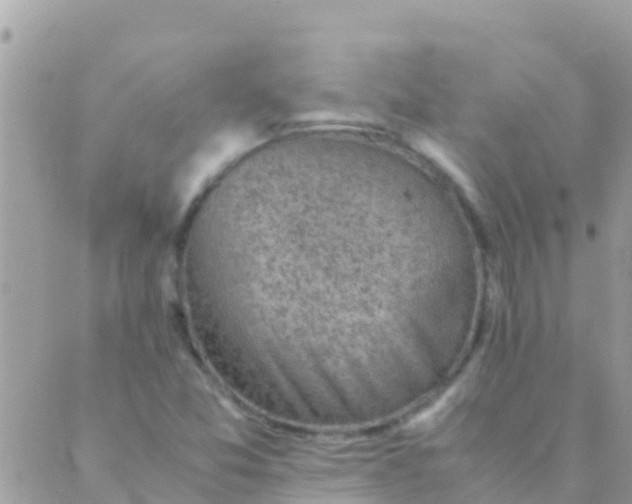 X0000089431357200707061333