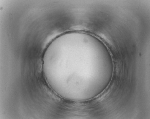 X0000089431358200707061333