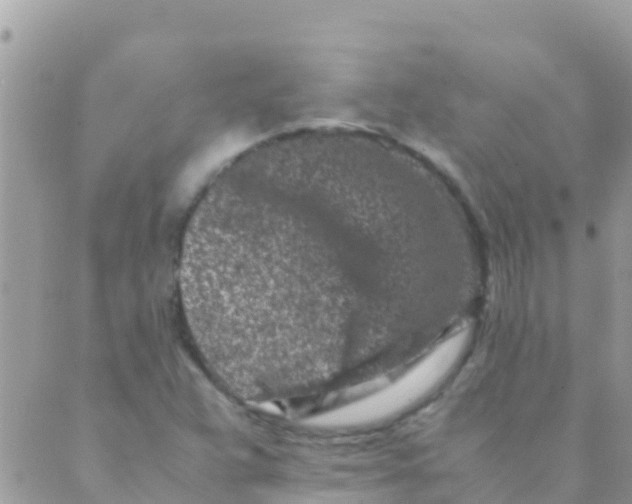 X0000089431359200707061333