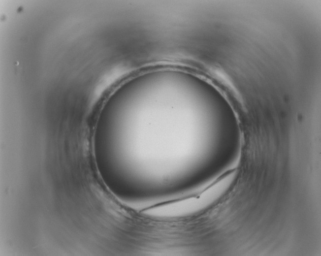 X0000089431360200707061333