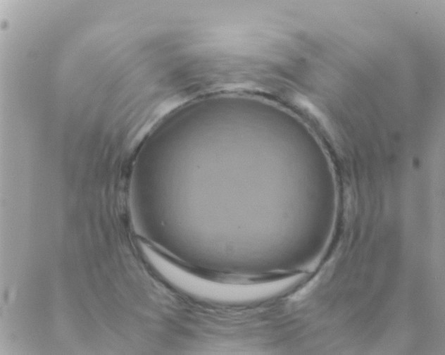 X0000089431361200707061333