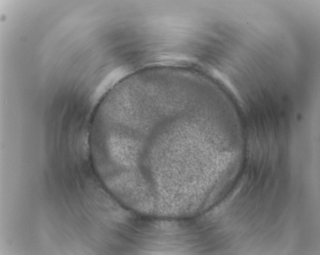 X0000089431362200707061333