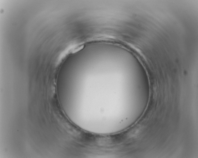 X0000089431363200707061333