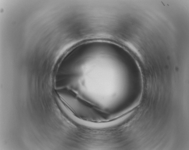 X0000089431364200707061333