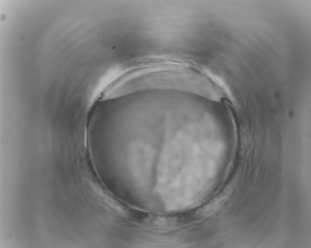 X0000089431365200707061333