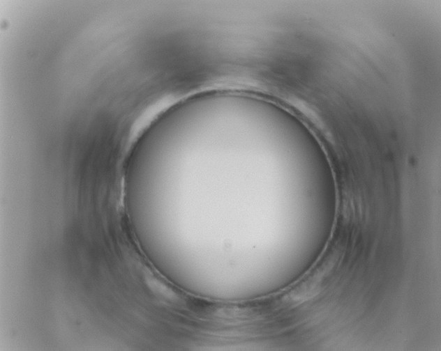 X0000089431366200707061333