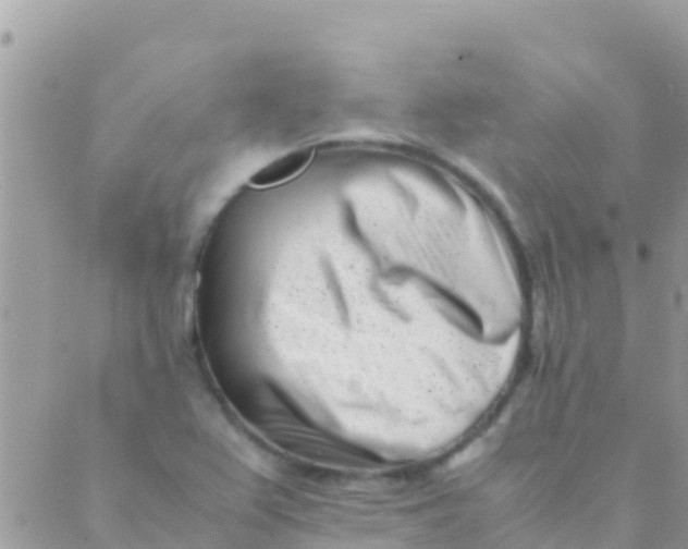 X0000089431367200707061333