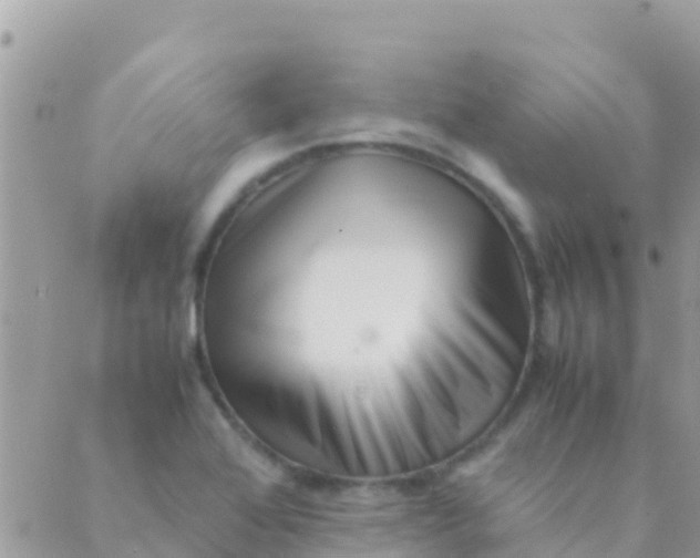 X0000089431368200707061333