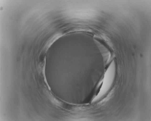 X0000089431369200707061333