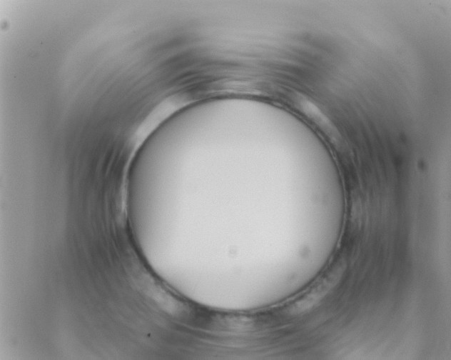 X0000089431370200707061333