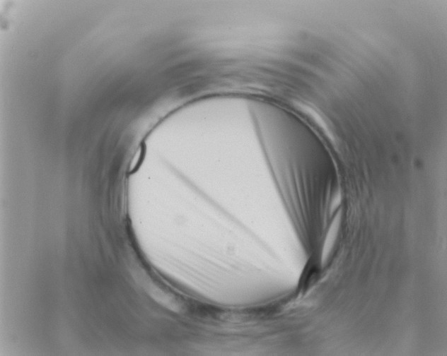 X0000089431371200707061333