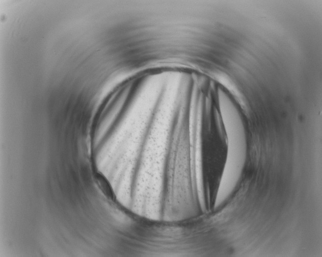 X0000089431372200707061333