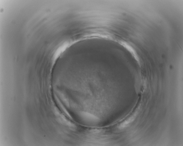 X0000089431373200707061333