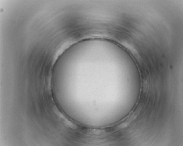 X0000089431374200707061333