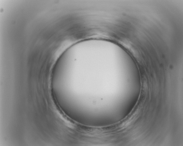 X0000089431375200707061333