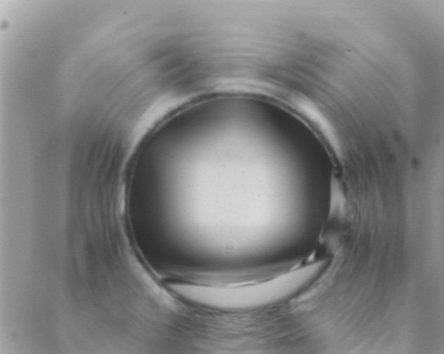 X0000089431376200707061333