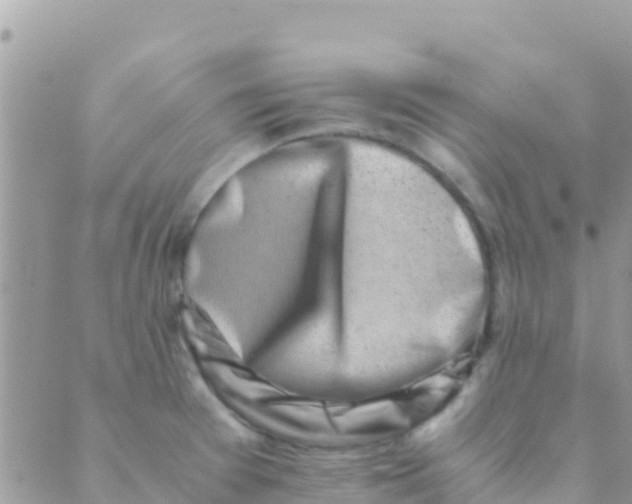 X0000089431377200707061333