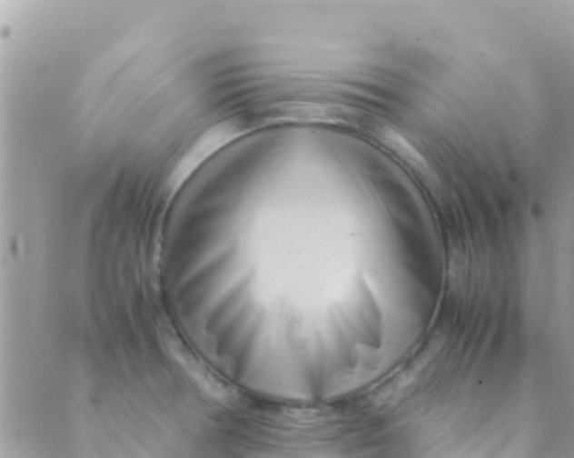 X0000089431378200707061333